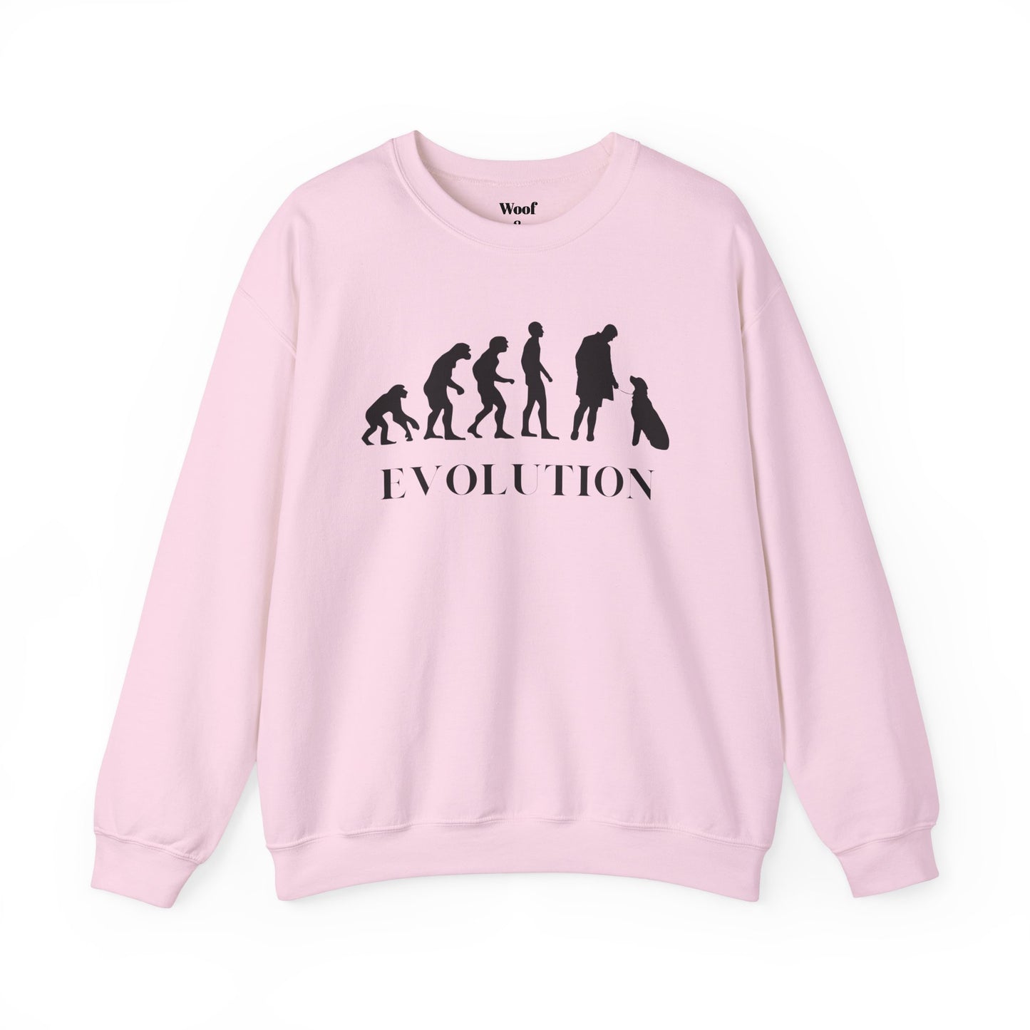 Evolution Sweatshirt